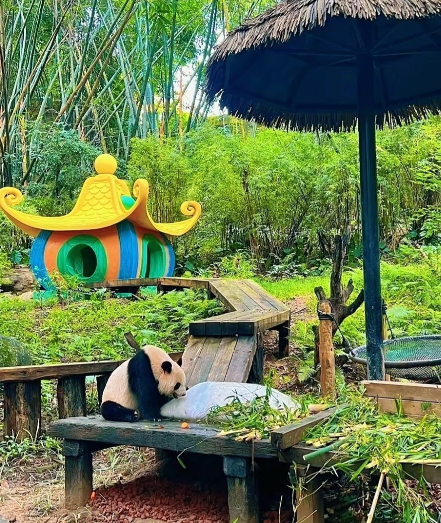 中国广州长隆乐园野生动物世界一日门票-青少年票