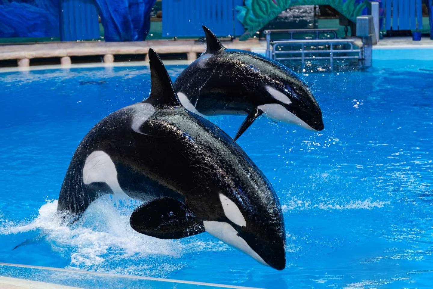 中国珠海长隆乐园飞船乐园一日门票-青少年票
